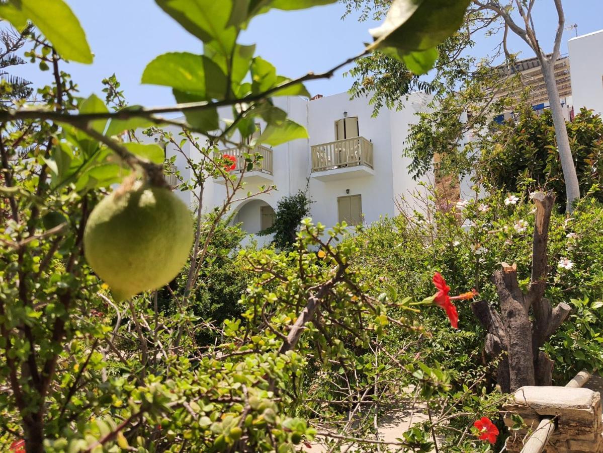 Vidalis Hotel Kionia Luaran gambar