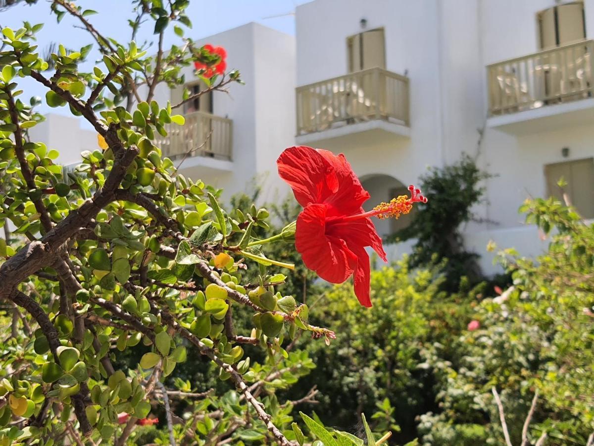 Vidalis Hotel Kionia Luaran gambar