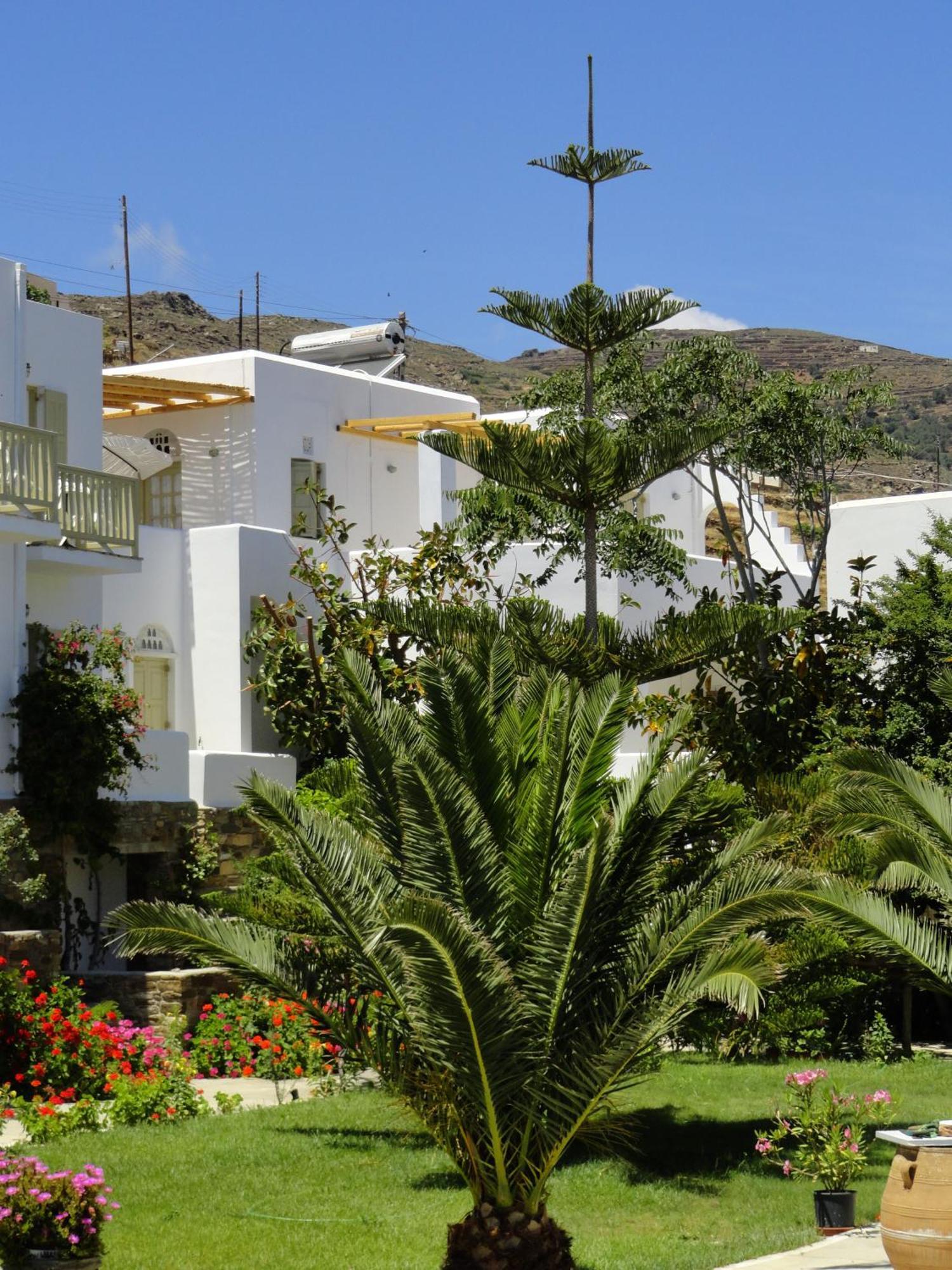 Vidalis Hotel Kionia Luaran gambar